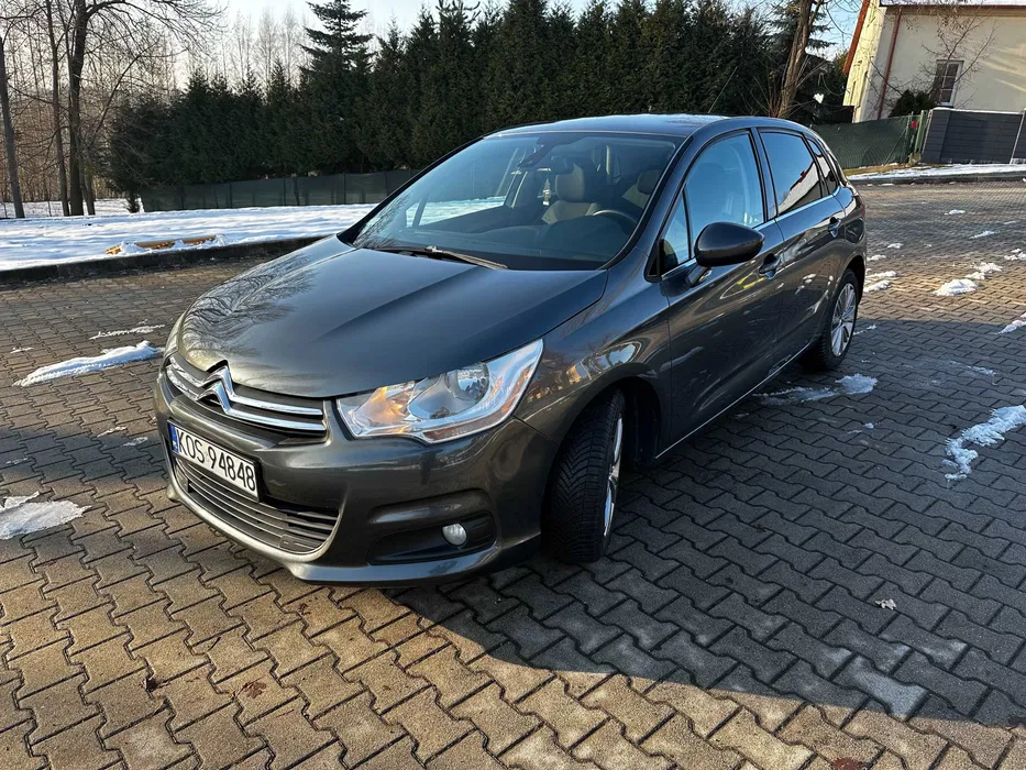 Wynajem rusztowanie elewacyjne plettec