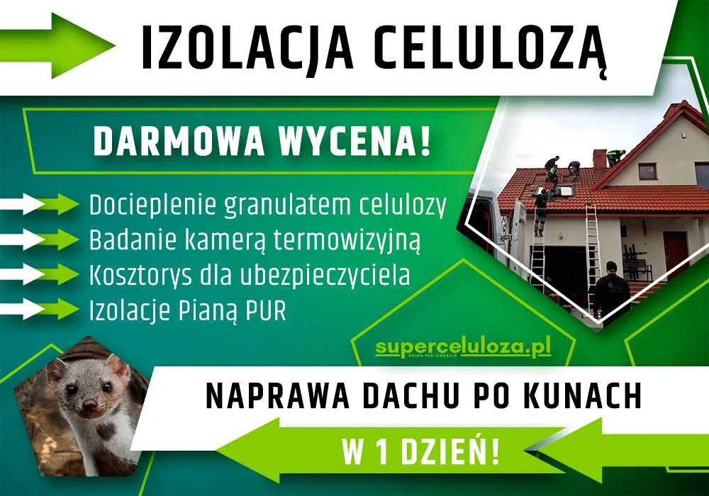 Izolacja celulozą | Naprawa dachu po kunie | Termowizja