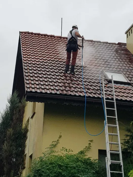 Mycie malowanie renowacja dachów i elewacji