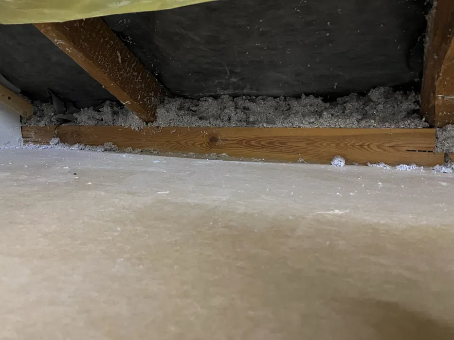 Badania kamerą termowizyjną , cieplenia celulozą