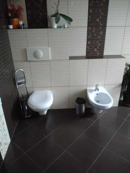 Budowa domów, elewacje, tynki