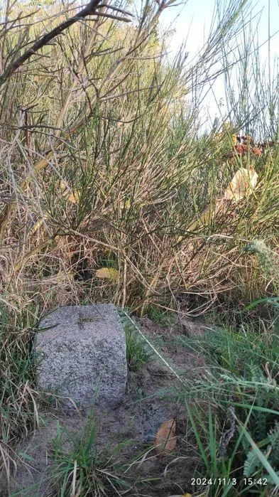 Geodeta - Usługi geodezyjne - Doradztwo w sprawach nieruchomości