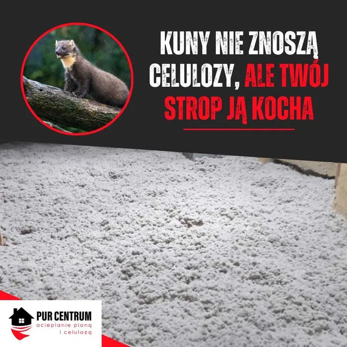 Ocieplanie Celulozą Izolacja Wdmuchiwanie wełny celulozowej Ocieplenia