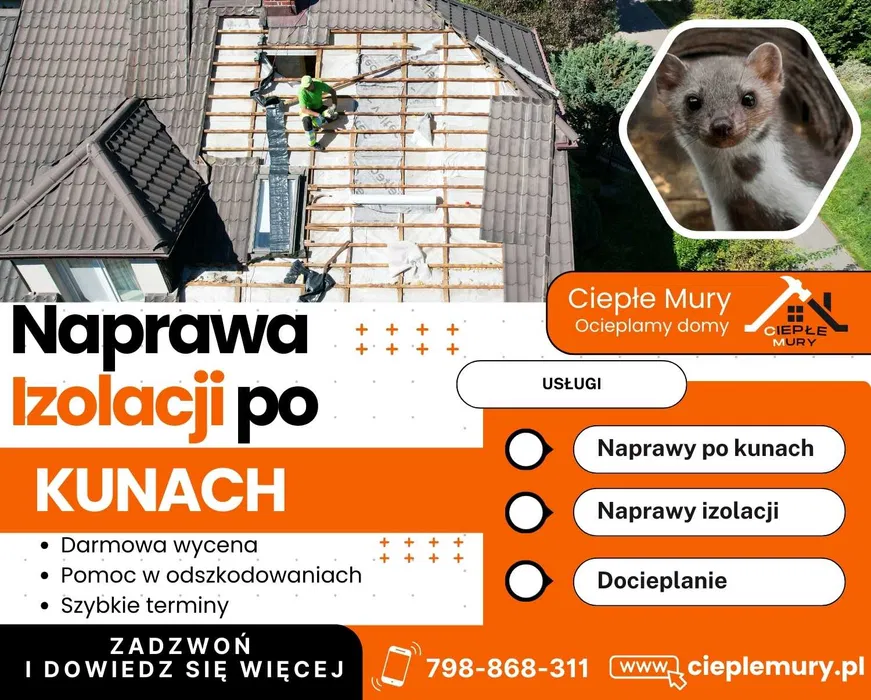Elewacje, Docieplenia, Ocieplanie domu, Ocieplenia styropianem