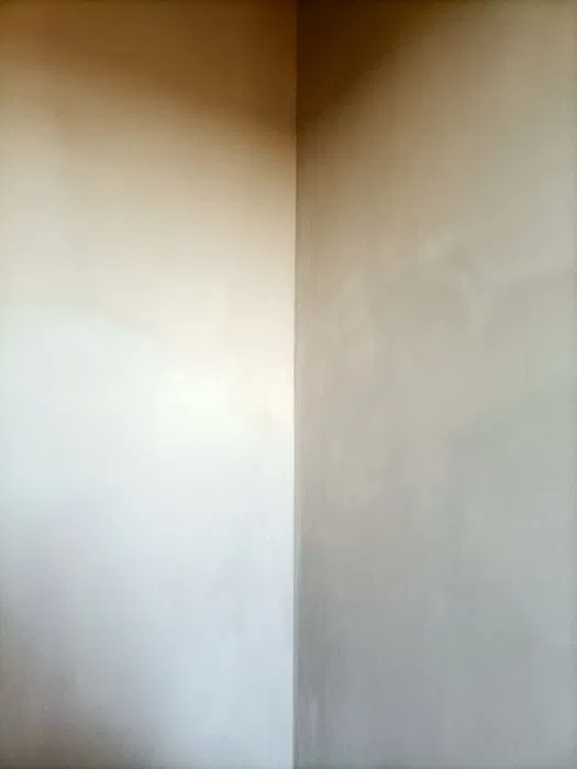 Tynki Maszynowe Gipsowe, Cementowe,Gipsowo-Cementowe.