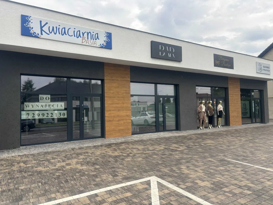 Budowa domów, lokali, usługi budowlane, wolne terminy!