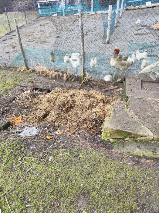 Rusztowania elewacyjne typ Plettac 100m2 wynajem