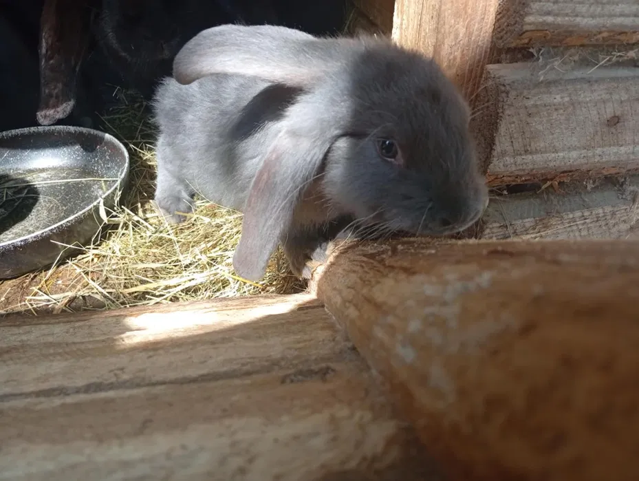 Posadzki maszynowe mixokretem, wylewki, styrobeton, rozkładanie styrop