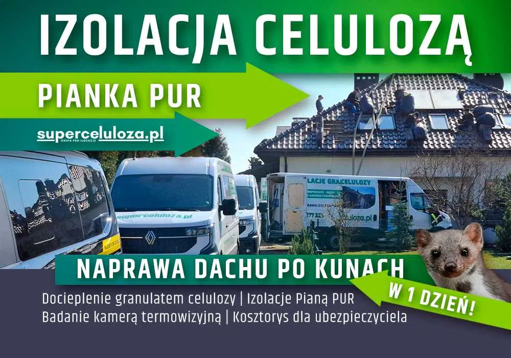Naprawa dachu po kunach | Izolacja celulozą | Termowizja | KUNY