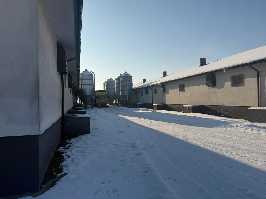 Budowa chlewni, kurnika, obory + wyposażenie pod klucz