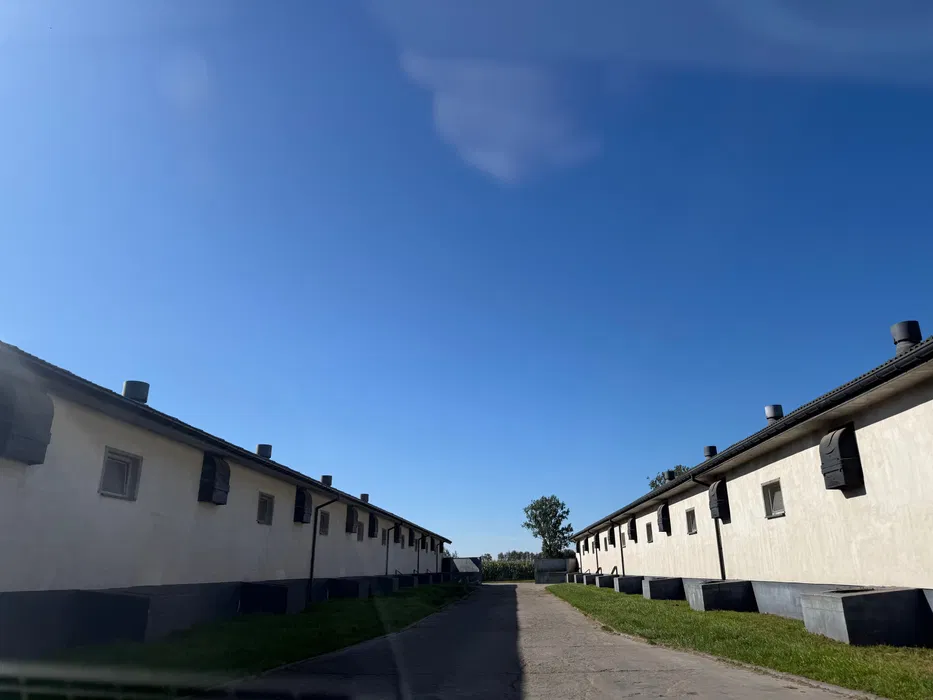 Budowa chlewni, kurnika, obory + wyposażenie pod klucz