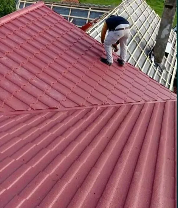 Montaż i naprawa dachów