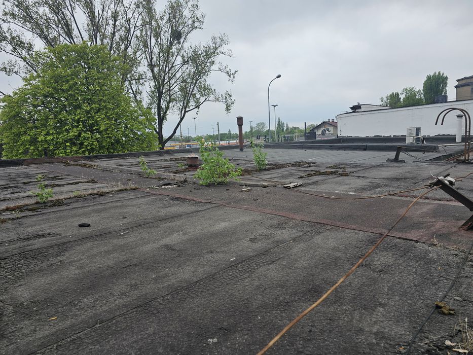 Malowanie dachow Dekarz Usługi dekarskie Papa montaz kominy rynny prze