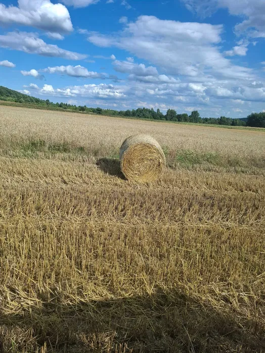 Tynkowanie Tynki maszynowe cementowo wapienne WOLNE TERMINY
