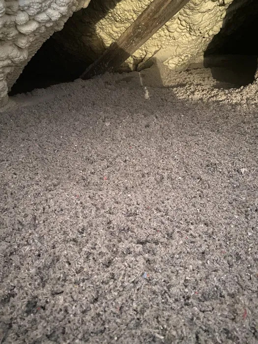 Piana Pur Celuloza w slosy zasyp stropów docieplenia poddaszy